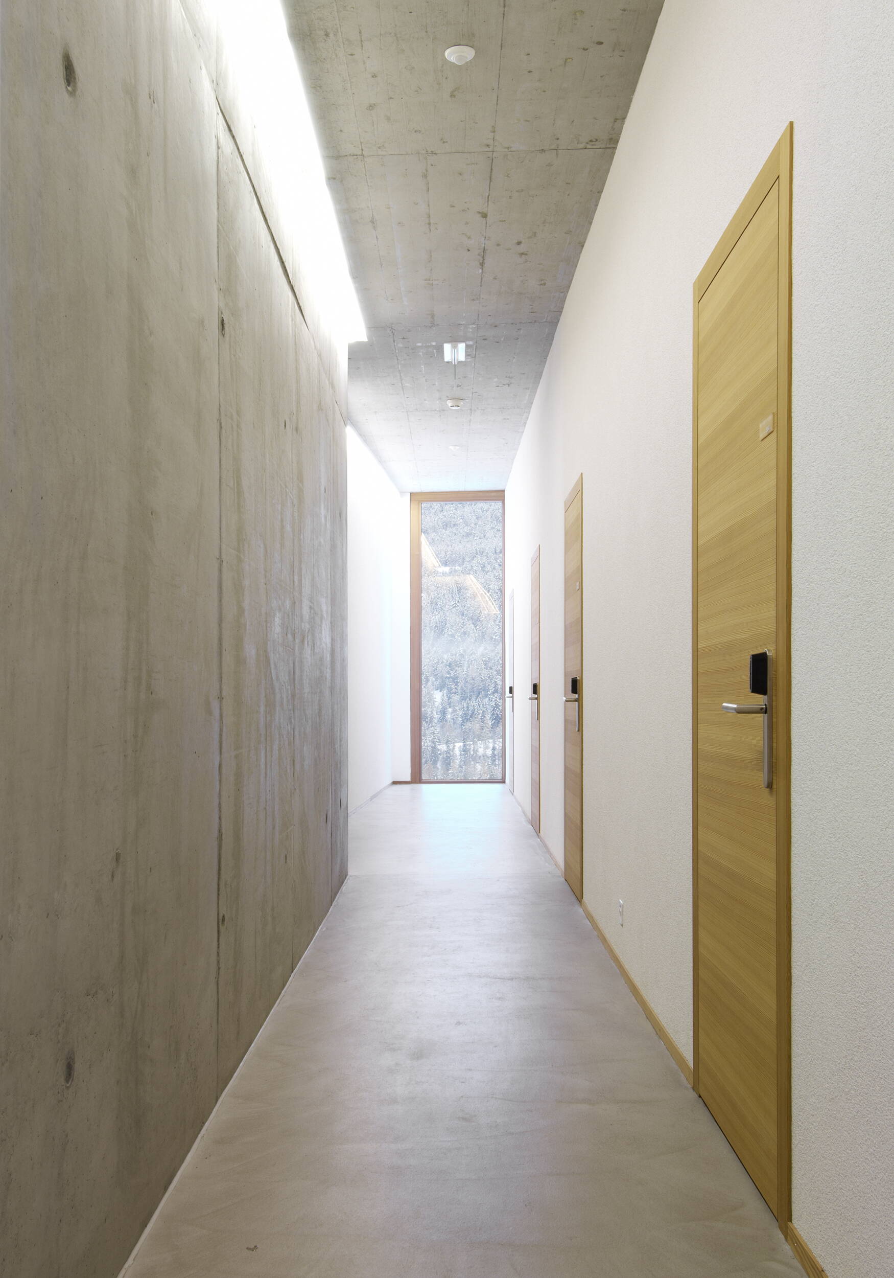 jh_dsc1193_1.jpg jh_dsc1193_1.jpg