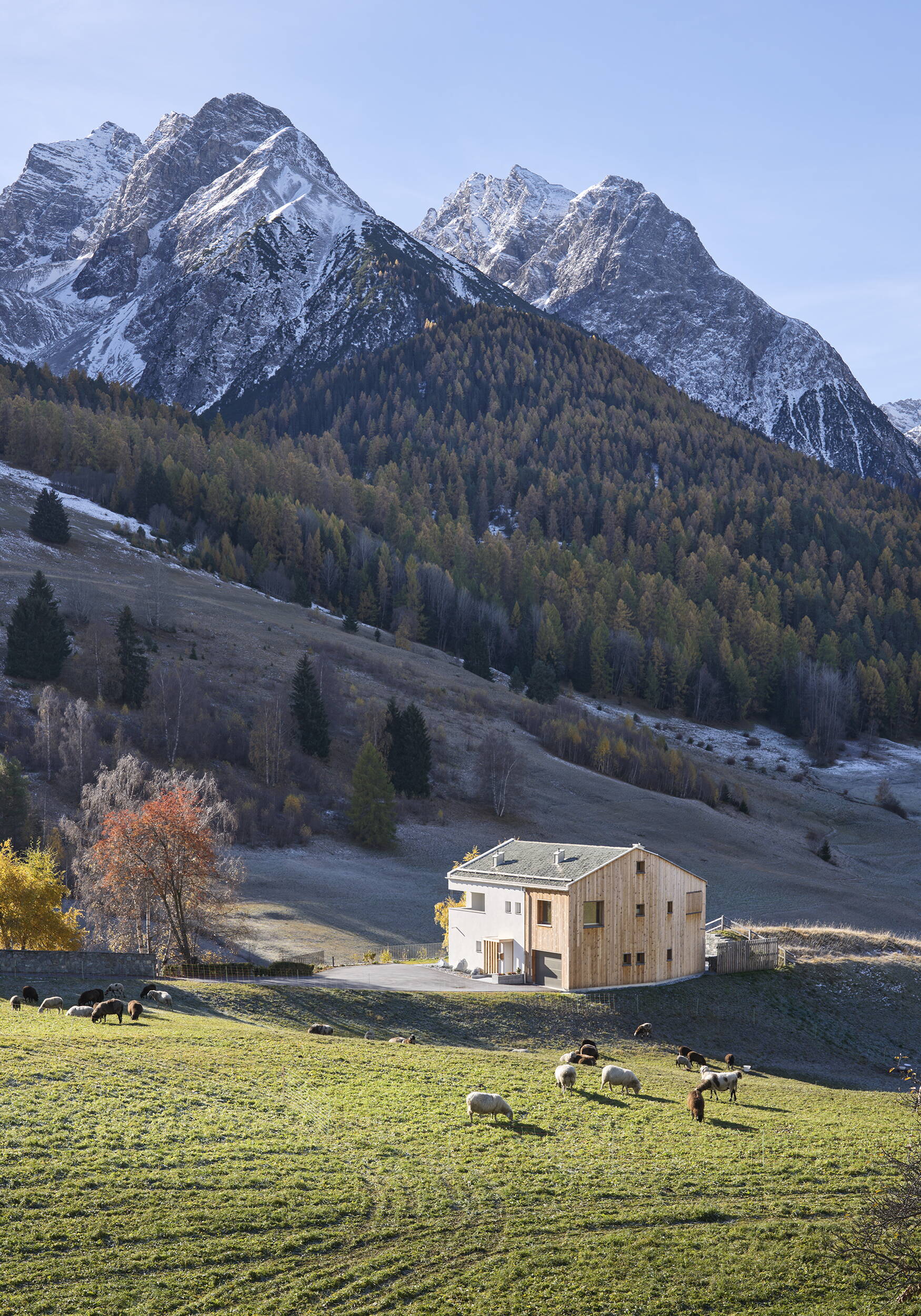 wh-tarasp-002.jpg wh-tarasp-002.jpg